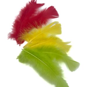 Doosje met losse veertjes rood-geel-groen +/- 15 gram